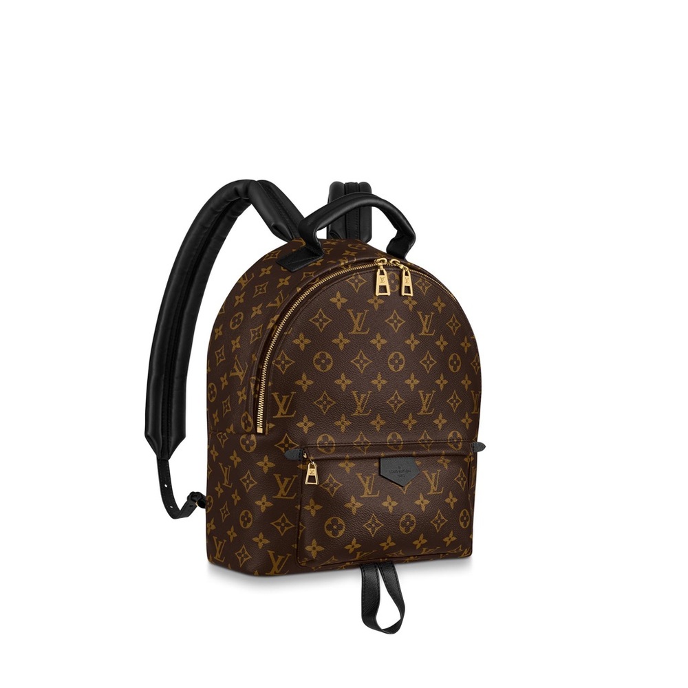 Louis Vuitton Palm Springs MM backpack